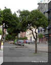 naranjo 01.jpg (54985 bytes)