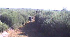 Ultimo repecho hacia la cumbre