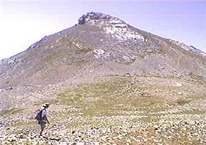 Colladina de las Nieves