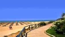 Playas bell�simas, mar c�lido, sol generoso durante todo el a�o.
