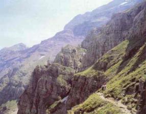 Ascenso en el valle de Pineta