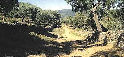 Sendero de Aracena a Linares de la Sierra