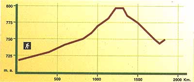 Relieves montanos t�picos