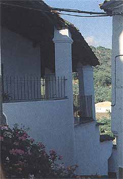 Vegetaci�n de ribera