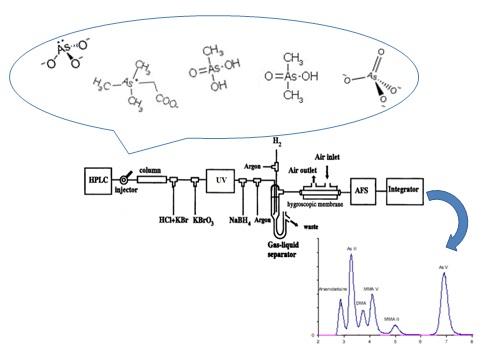 La imagen no se encuentra