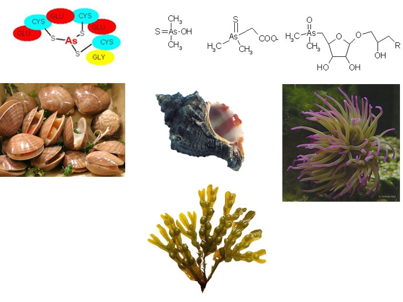 La imagen no se encuentra
