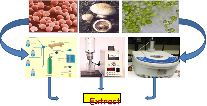 La imagen no se encuentra