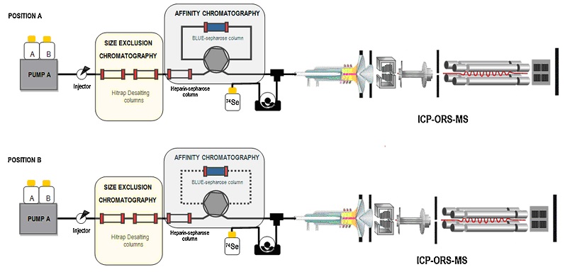 La imagen no se encuentra