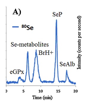 La imagen no se encuentra