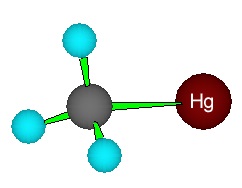 La imagen no se encuentra