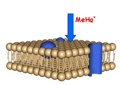 La imagen no se encuentra