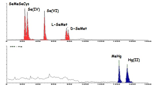 La imagen no se encuentra