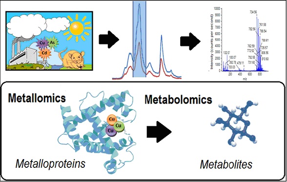 La imagen no se encuentra