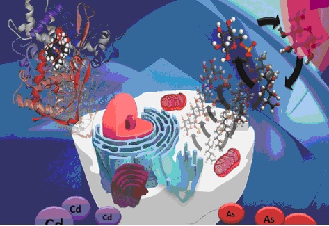 La imagen no se encuentra