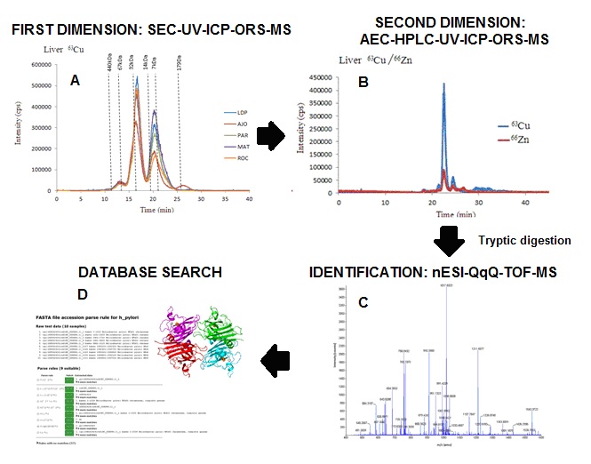 La imagen no se encuentra