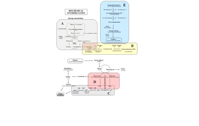 La imagen no se encuentra