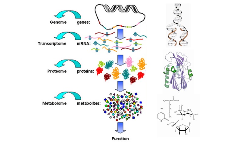 La imagen no se encuentra