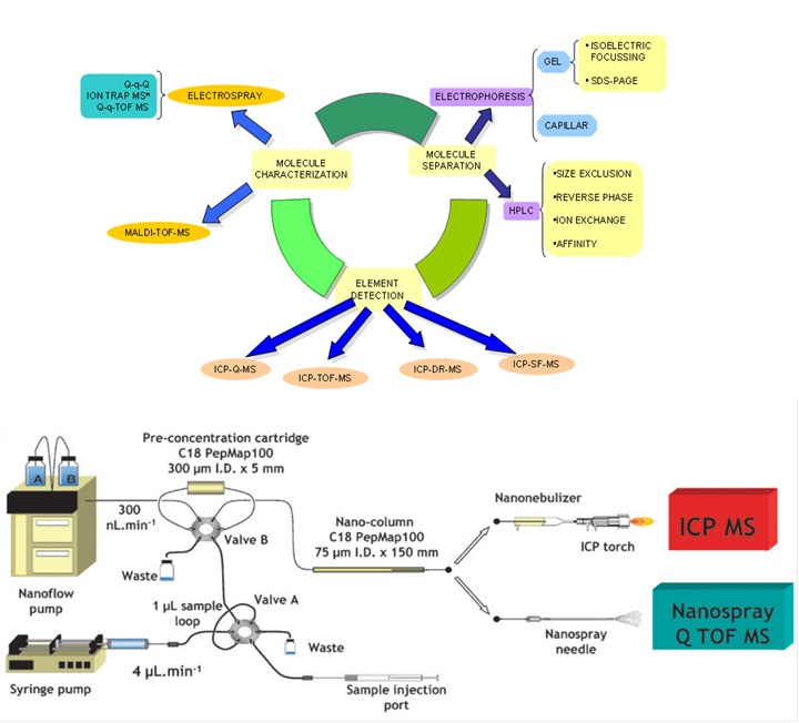 La imagen no se encuentra