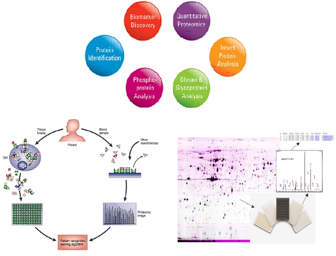 La imagen no se encuentra
