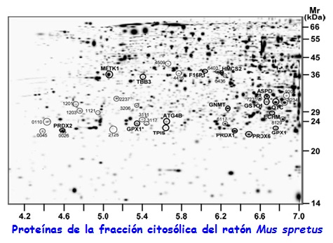 La imagen no se encuentra