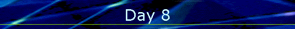 Day 8