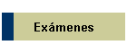 Exmenes