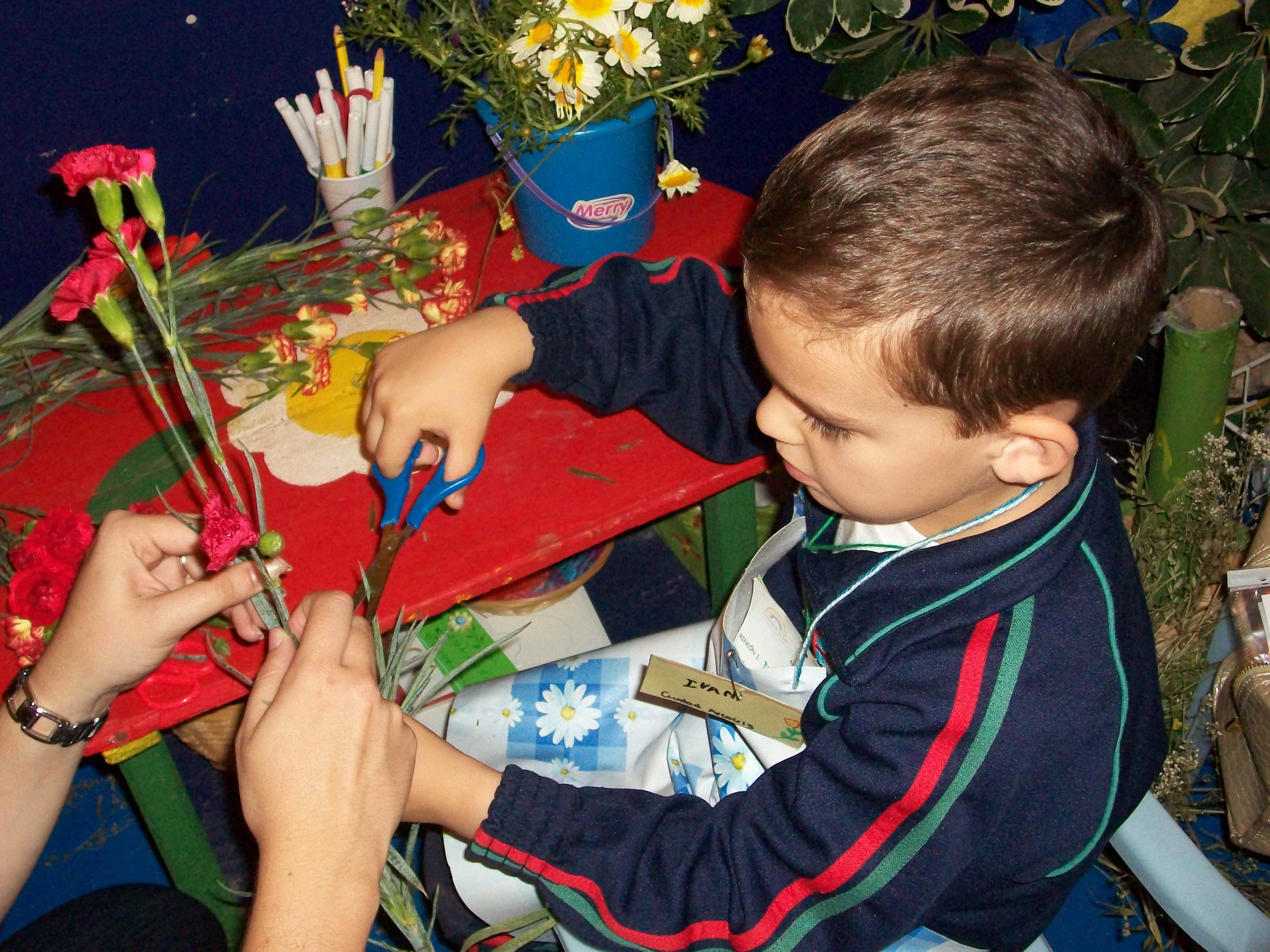 Florister�a.JPG (1779909 bytes)