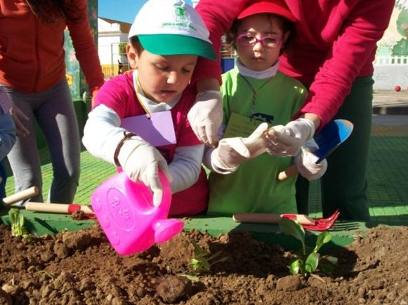 Huerto.JPG (50216 bytes)