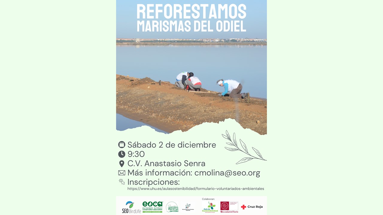 Voluntariado Ambiental Reforestación Marismas del Odiel
