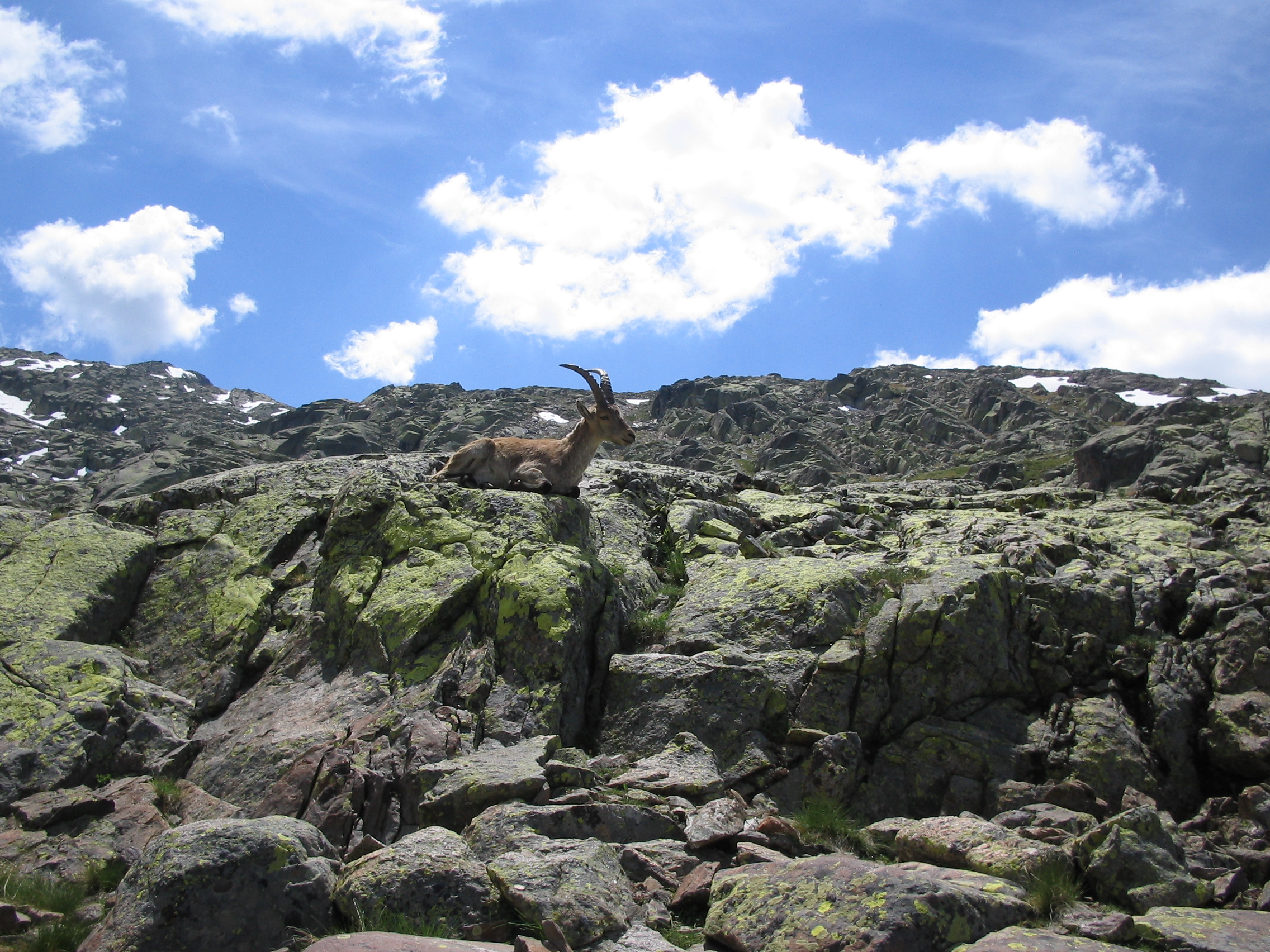 fotogredos3