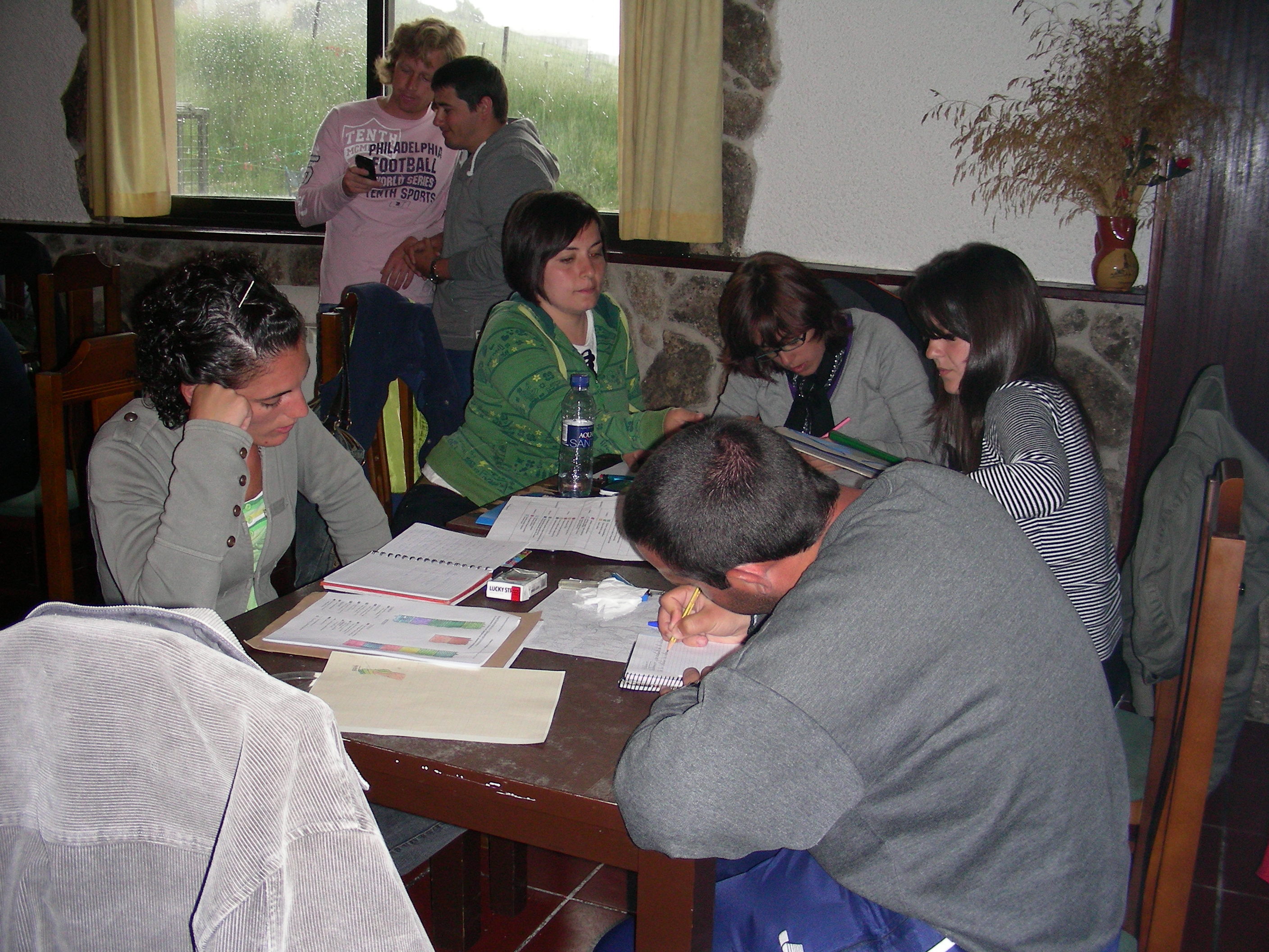 fotopalmaces9