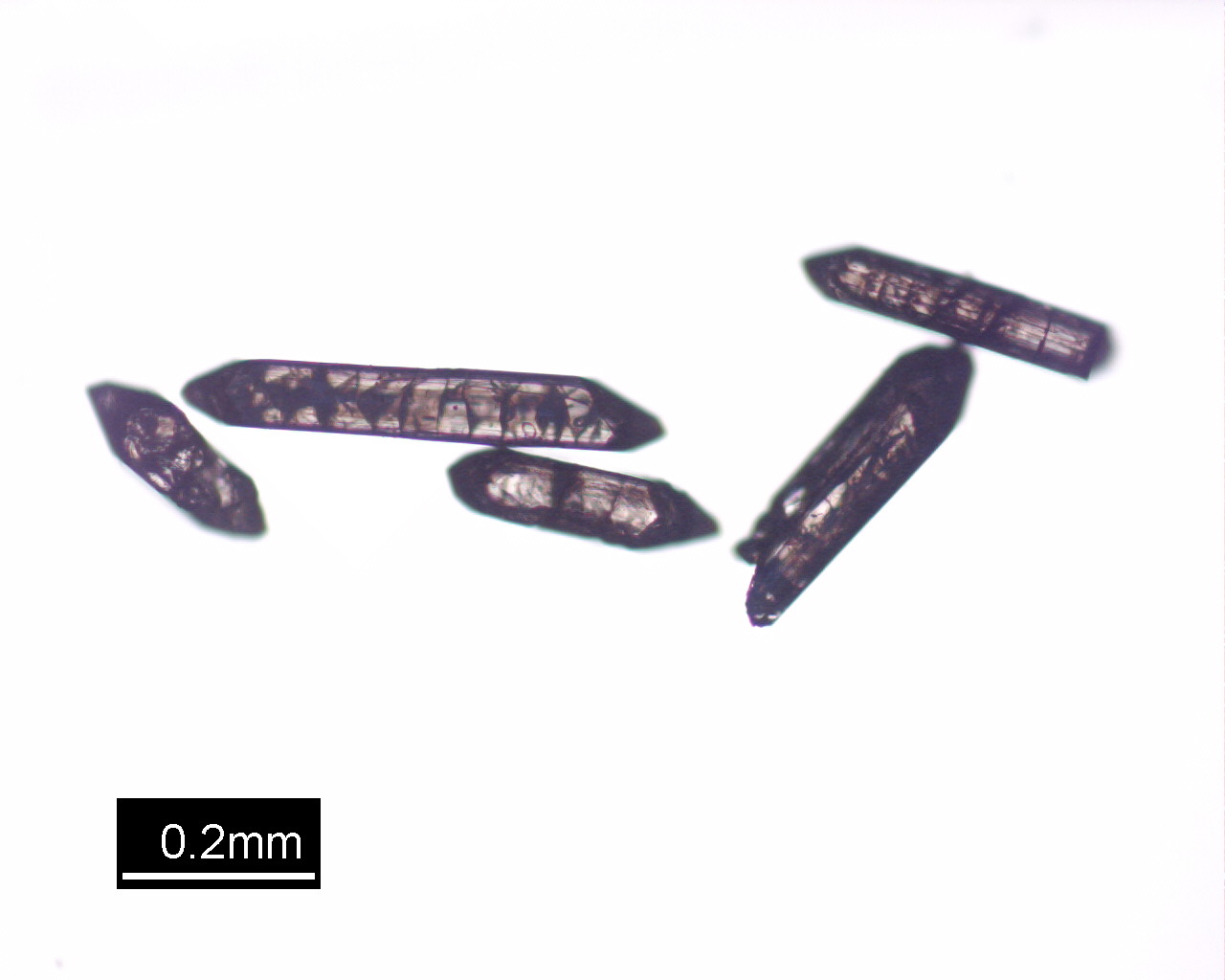 zircons
