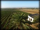 Fundación Doñana 21