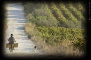 Fundación Doñana 21