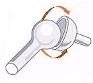 Articulaci�n