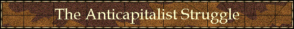 The Anticapitalist Struggle