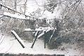Puente colgante