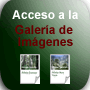 Galer&iacute;a de Im&aacute;genes