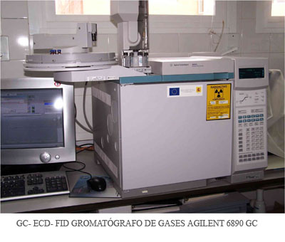 Cromatografo de gases