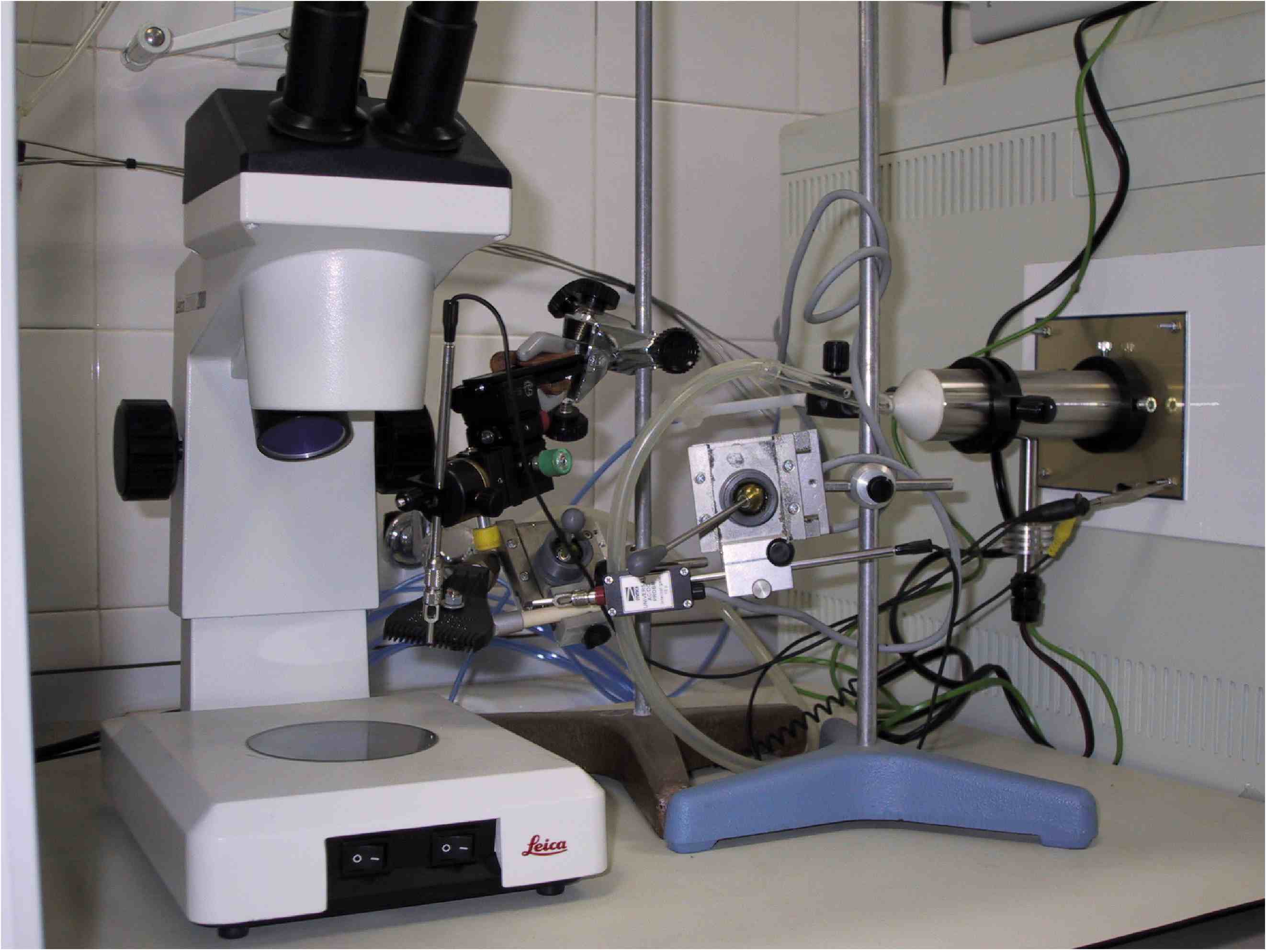 Imagen en reemplazo de flash