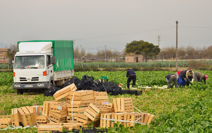 Inmigrantes: Union de Uniones propone al Gobierno un mecanismo extraordinario de regularizacion para que puedan trabajar en las campanas agricolas