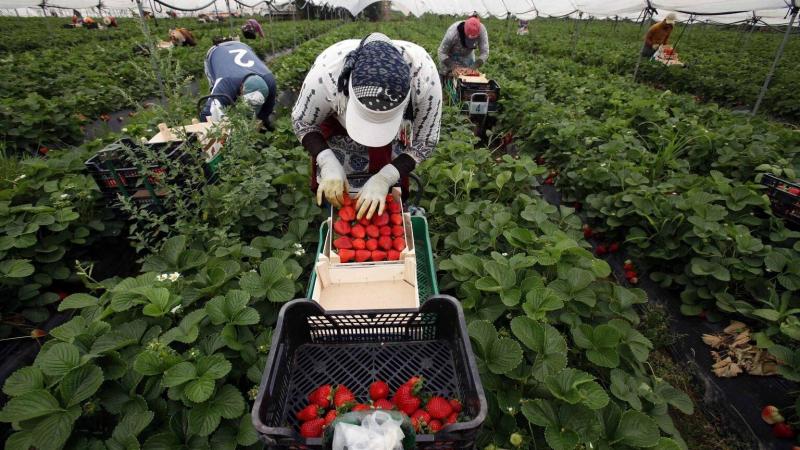 Las desigualdades de genero se acentuan en el mundo rural y en la esfera publica andaluza
