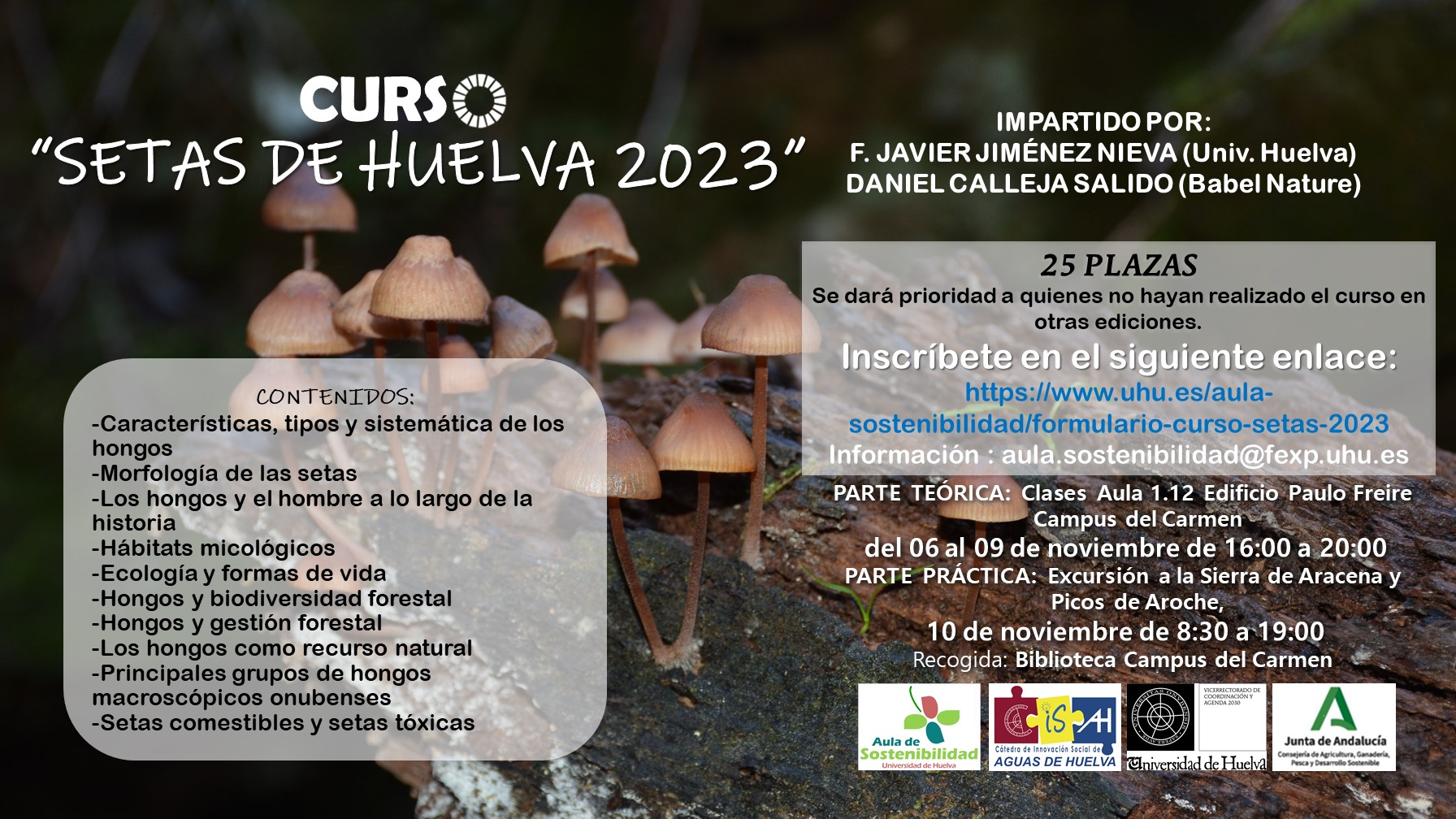 Curso setas de Huelva-2023