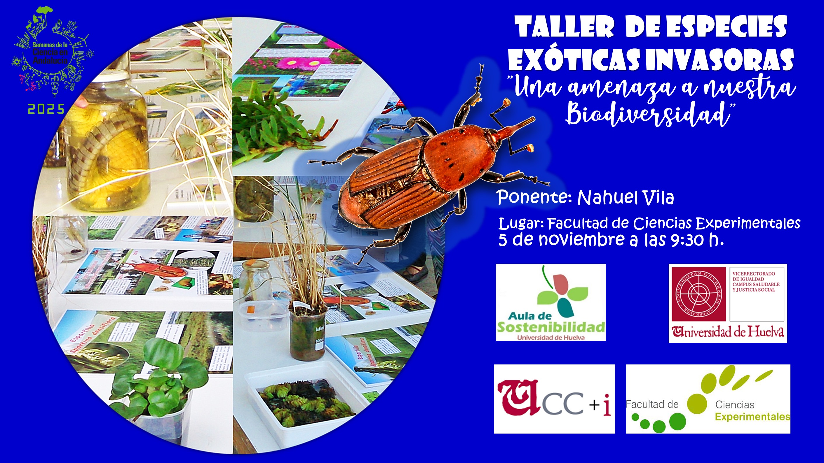 CARTEL TALLER DE EXÓTICAS