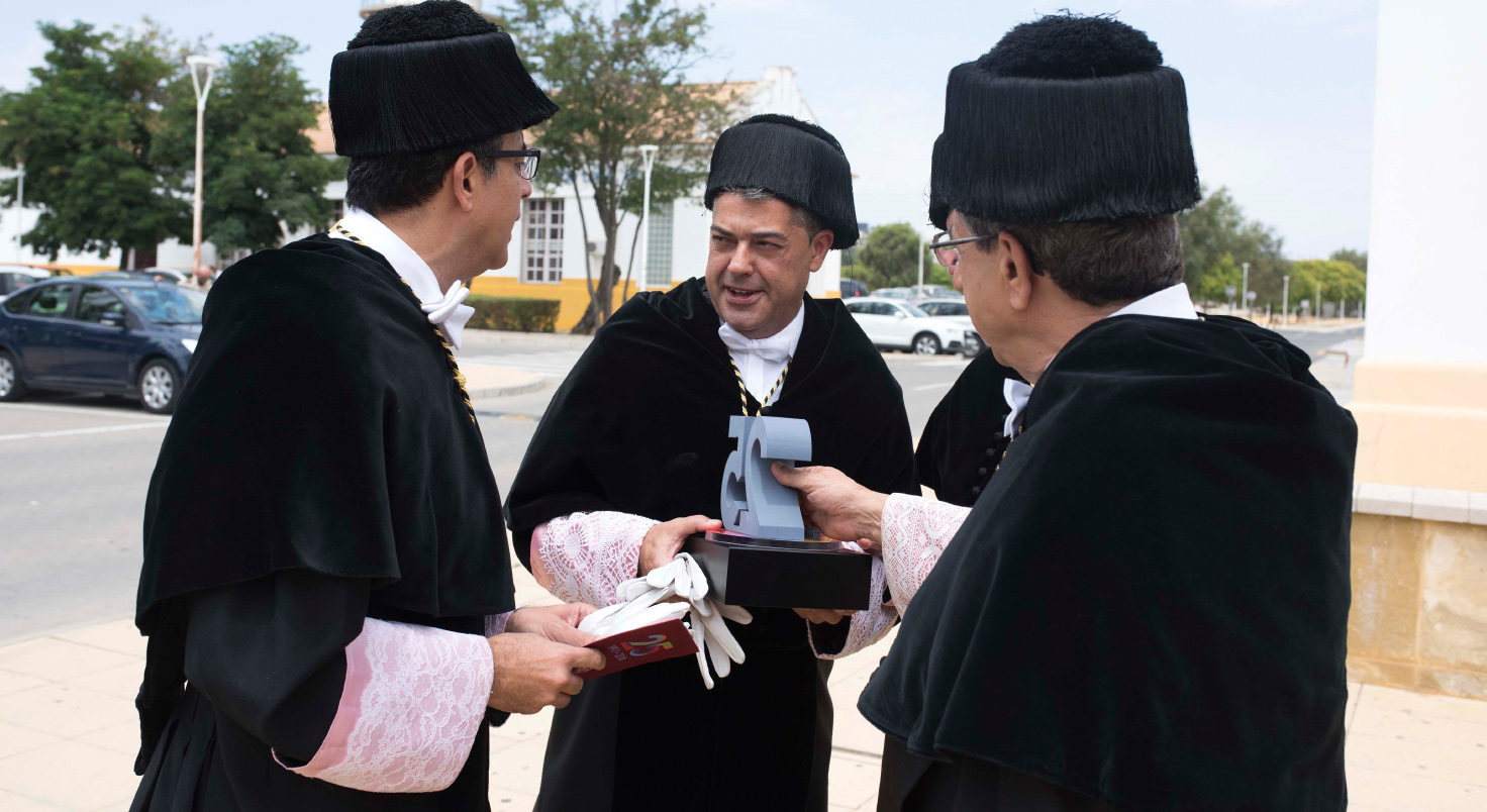 Especiales - Foto 11