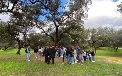 La Universidad de Huelva y la Diputación de Huelva cierran con éxito un nuevo curso de la Cátedra de la Provincia