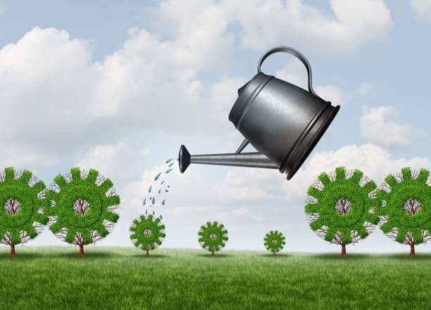 Estudio de productos agrícolas de la zona UHU y Beja