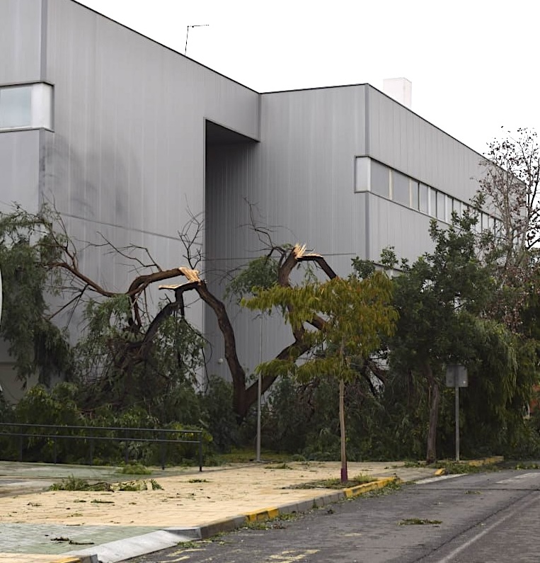 Campus tras el paso de la tormenta Bernard