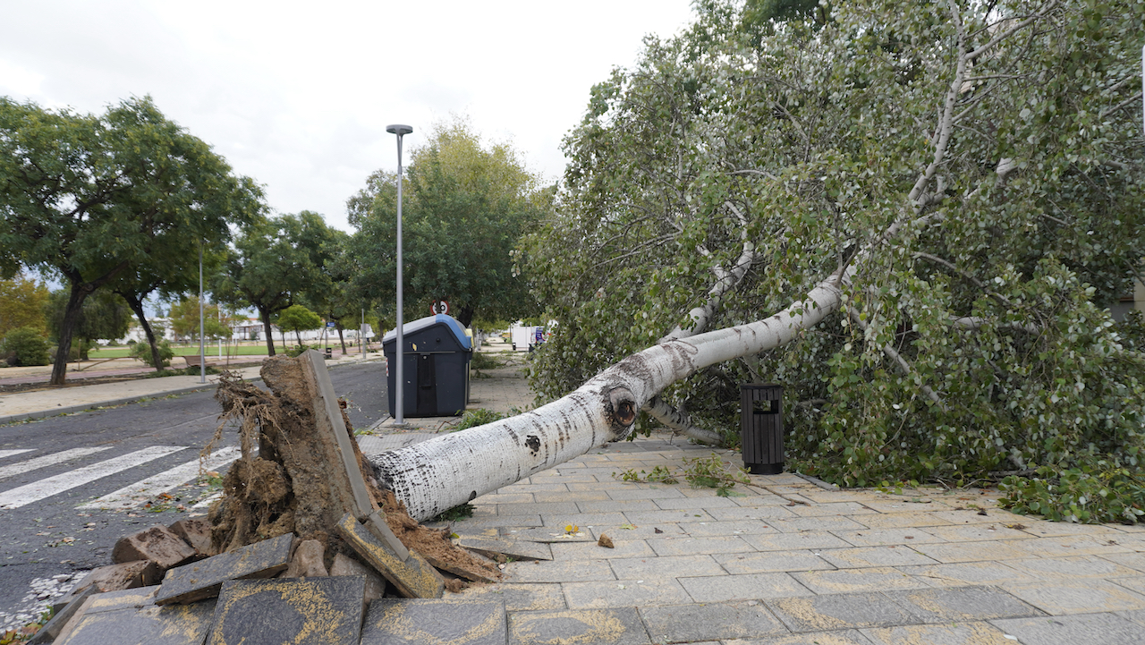 Visita Campus tras la borrasca Bernard 24 octubre de 2023