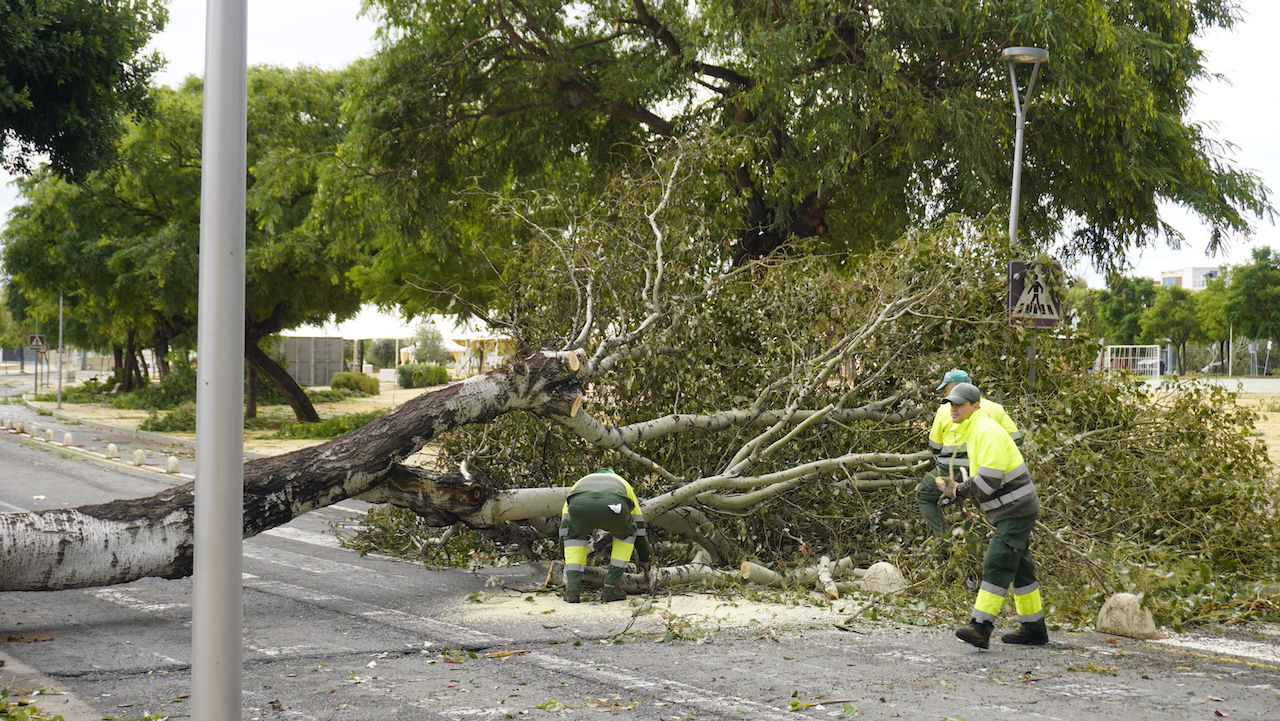 Visita Campus tras la borrasca Bernard 24 octubre de 2023
